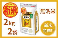 �y�V�āz��錧�Y�w�R�V�q�J���x������ 2kg×2�܁i�ߘa8�N�Y�j