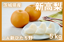 ★茨城県産 新高梨 5kg JA新ひたち野【9月下旬頃より順次発送】
