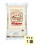 yΕz錧Y ߘa7NYw~L[NC[x 5kg×1