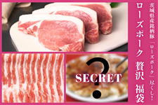 錧Y؁u[Y|[NvsIw[Y|[Ngґh܁x