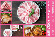 ��錧�Y�����؁u���[�Y�|�[�N�v�����肾������I�w���[�Y�|�[�N�g�喞�i�h���܁x�y1/21�����z