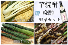 y7/18()zĒEӎޖ؃ZbgiĒAGVbgAt傤Altイj
