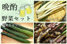 y7/18()zӎޖ؃ZbgiGVbg1At傤4{Altイ3{j