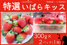 ����錧�Y ���I���΂�L�b�X�i��300g×2�p�b�N�j 3L JA��鈮���y�J�S��CP�p���i�z