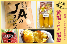 さつまいも・干し芋|【JAタウン】産地直送 通販 お取り寄せ