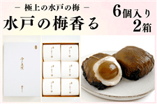 yɏ̐˂̔~z˂̔~ 6×2iv12j