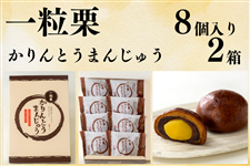 ꗱIƂ܂񂶂イ 8×2iv16j