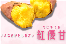��錧�Y�w�g�D�Ái�ׂɂ䂤���j�xAM ��5kg JA�Ȃ߂������������y9����{����菇�������z