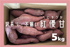 y󂠂Esz錧YwgDÁiׂɂ䂤jx5kgiCij