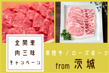 常陸牛・ローズポーク 肉三昧セット（茨城）【北関東3県ショップ
