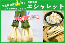 ���Y�ʓ��{��I��錧�Y�w�G�V�����b�g�x L�܂���M�E10��×1���@JA�Ȃ߂�����������