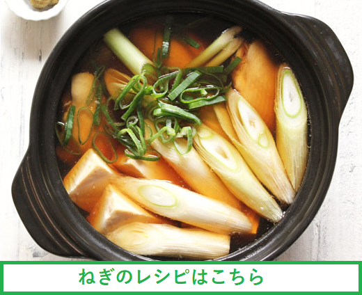 �˂��@���V�s