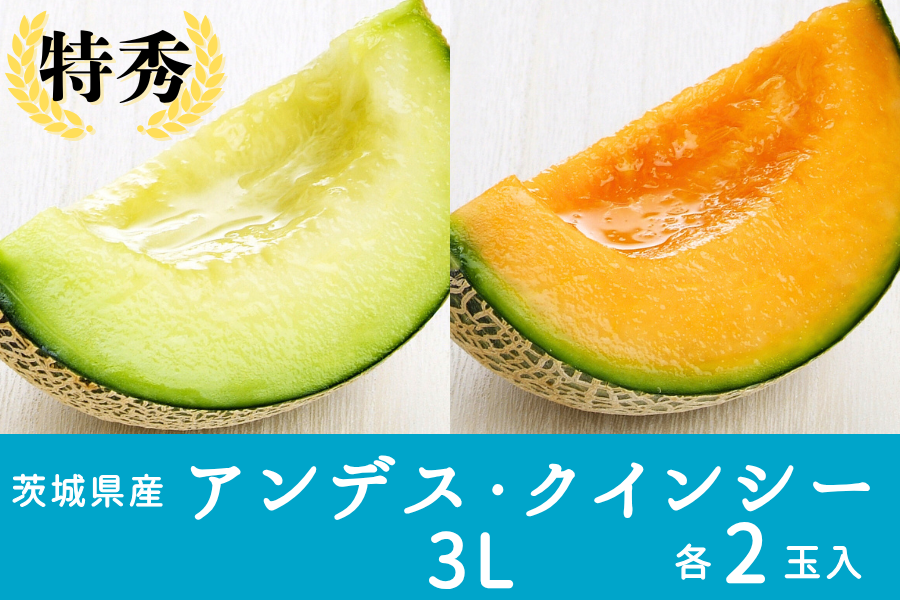 ◎茨城県産アンデス・クインシーセット 3L×各2玉入（特秀）【5月15日頃