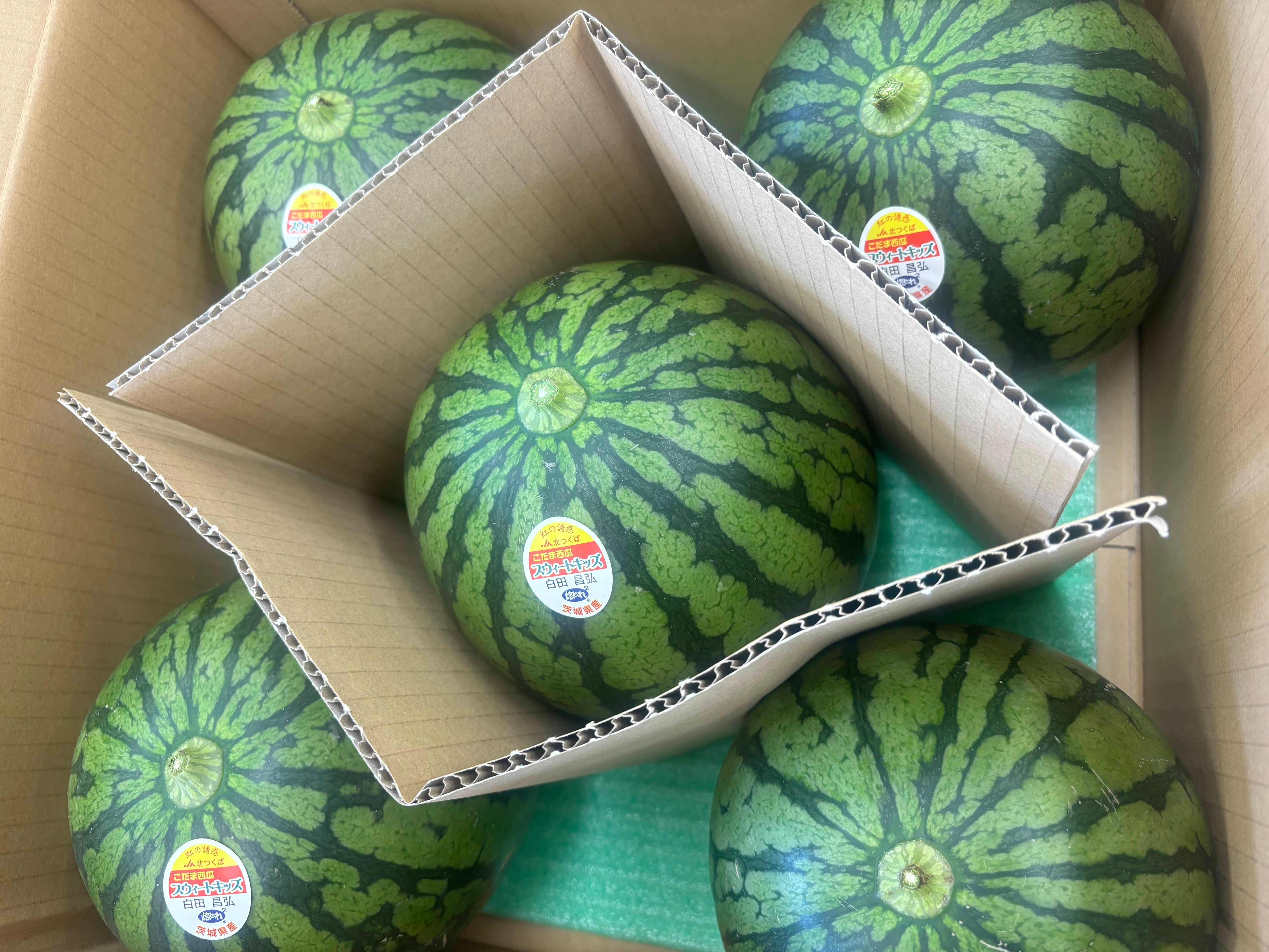スイカ 小玉スイカ 【KSK出荷組合】 紅トップ べにくろ 2L 好き