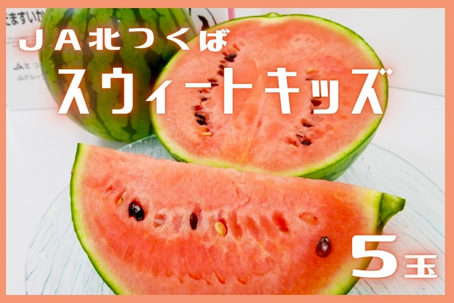 茨城県産 JA北つくば こだますいか 「スウィートキッズ」L・5玉