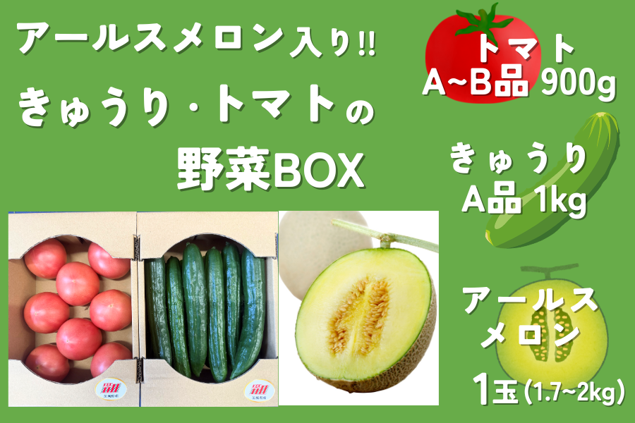 KEKの野菜BOX！【アールスメロン入り】茨城県産「きゅうり・トマト