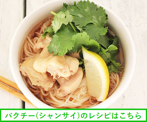 �V�����T�C�@�p�N�`�[�@���V�s