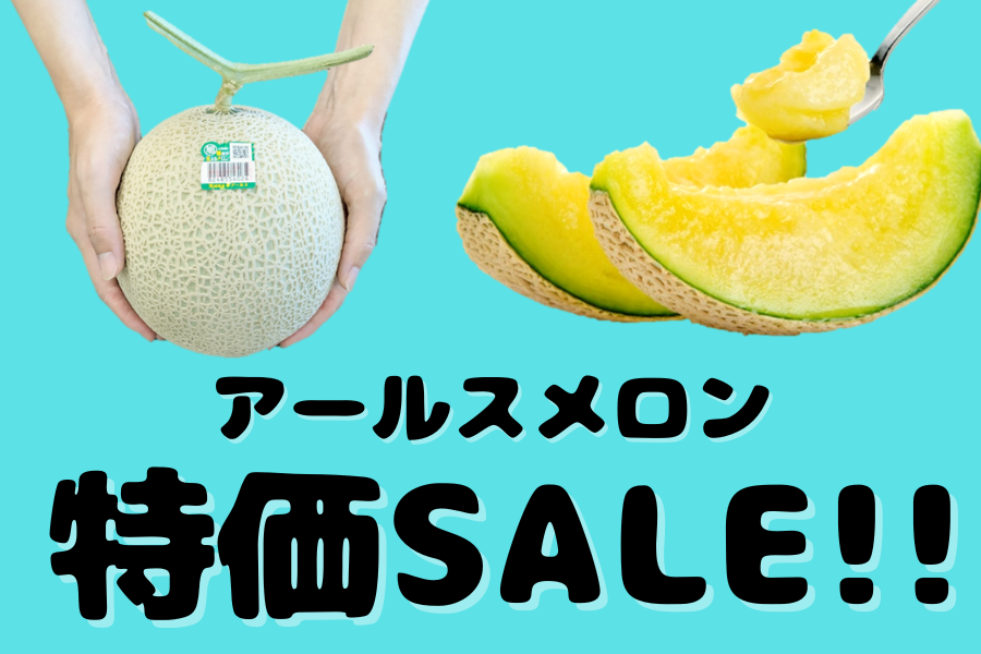 ◎茨城県産 JA茨城旭村 アールスメロン2玉セット【7月下旬頃より