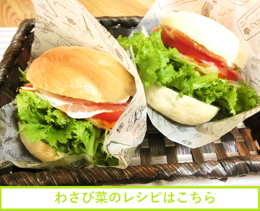 �킳�э؁@���V�s