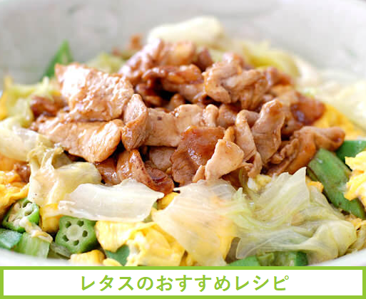 ���^�X�@���V�s