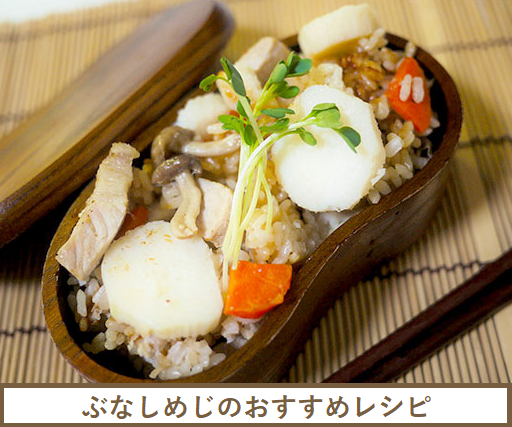 �ԂȂ��߂��@���V�s