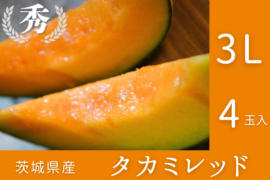 ☆茨城県産タカミレッド 3L×4玉入（秀）JA常総ひかり【6月上旬頃より