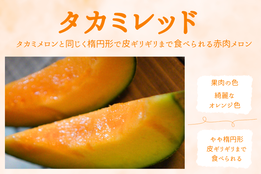 ☆茨城県産タカミレッド 3L×4玉入（秀）JA常総ひかり【6月上旬頃より