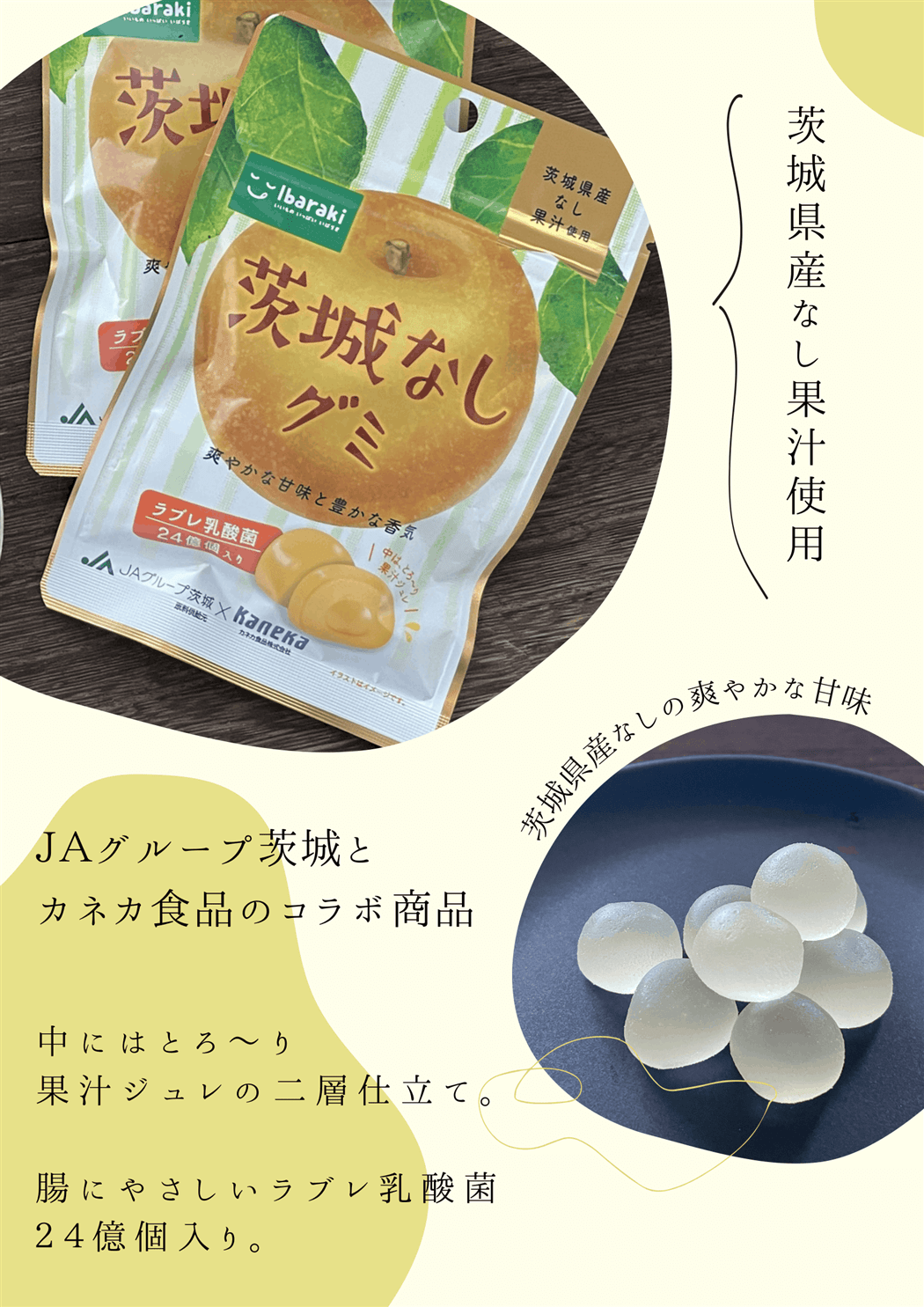 茨城なしグミ 10袋×2（計20袋）: いいものいっぱい広場|【JA
