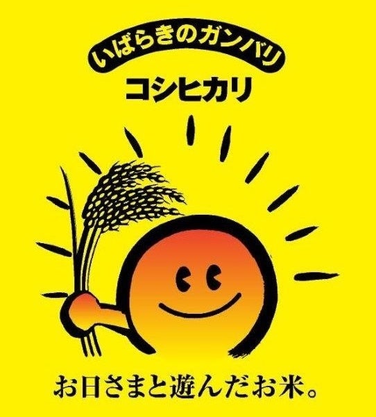令和6年産 茨城県産『コシヒカリ』 5kg×3袋【ご注文順に順次発送