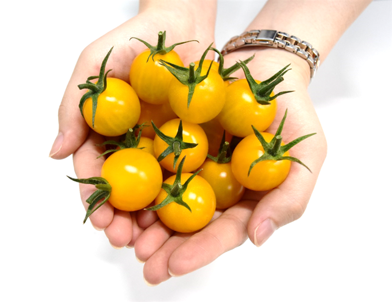 産地直送 通販 お取り寄せ純愛トマト ミニトマト イエローミミ A 約２kg箱 Ja足利産 とちぎ新鮮倉庫 ｊａタウン