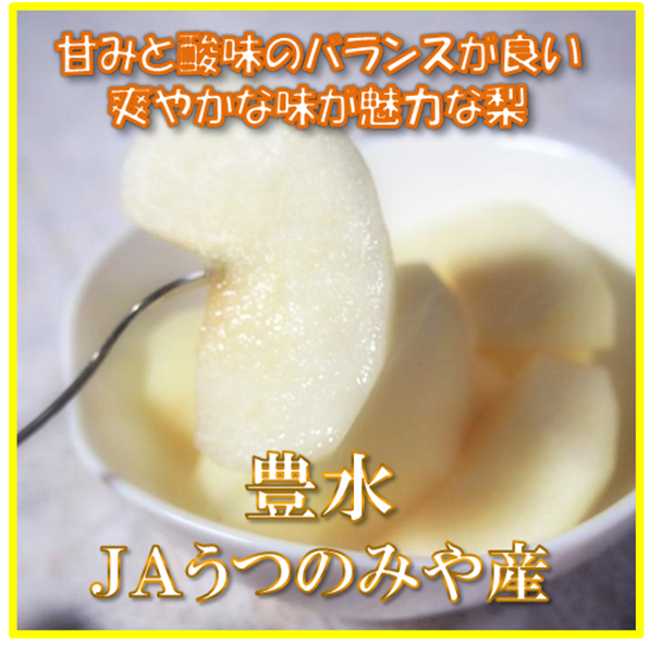 梨 豊水 (約5kg/秀12・14玉) JAうつのみや産※9/3~順次発送
