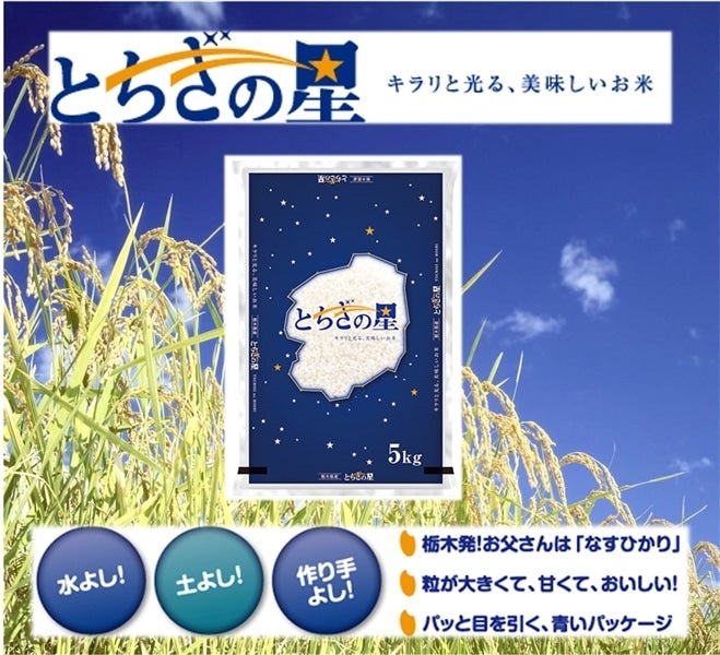 産地直送 通販 お取り寄せ栃木県産 とちぎの星 5kg とちぎ新鮮倉庫 ｊａタウン