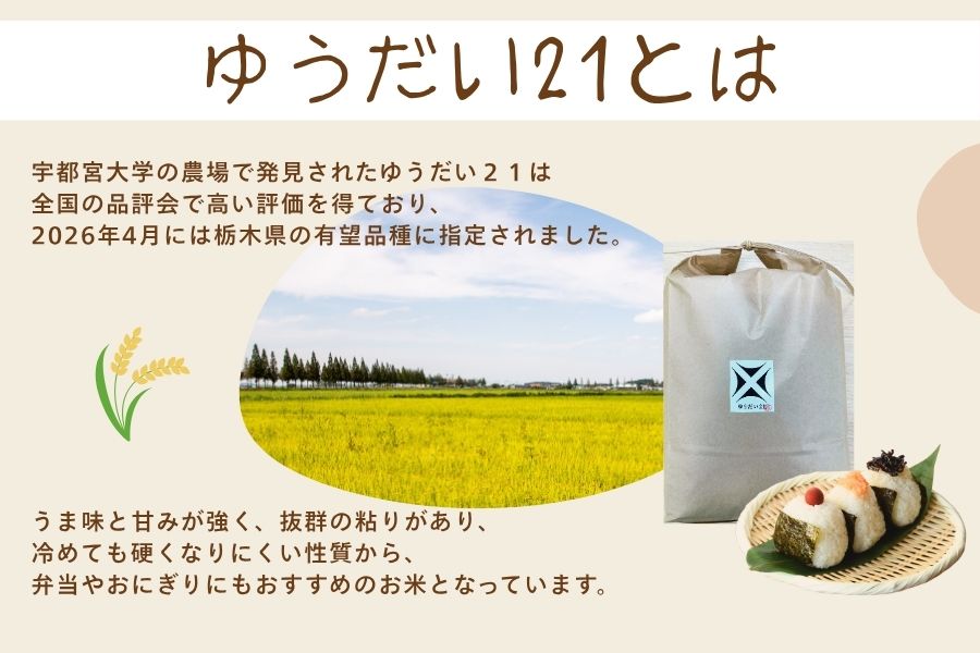 栃木県 JAうつのみや産 ゆうだい21 10㎏（5㎏×2）: とちぎ新鮮倉庫
