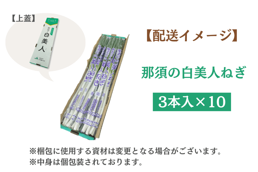 産地直送 通販 お取り寄せ那須の白美人ねぎ 軟白ねぎ 3本入 10 Jaなすの産 とちぎ新鮮倉庫 jaタウン 産地直送 通販 お取り寄せ那須の白美人ねぎ 軟白ねぎ 3本入 10 Jaなすの産 とちぎ新鮮倉庫 jaタウン
