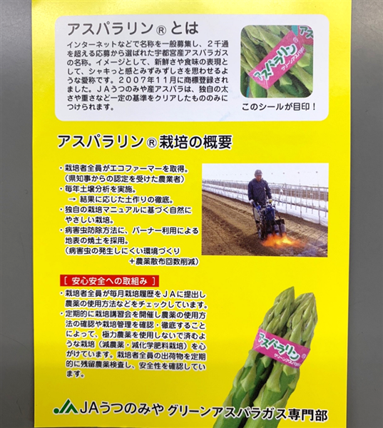産地直送 通販 お取り寄せグリーンアスパラガス 100g 10束 Jaうつのみや産 とちぎ新鮮倉庫 ｊａタウン