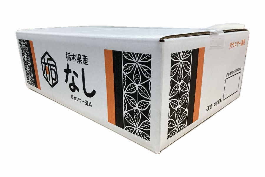 数量限定】梨 Premium13 幸水 (約5kg/特秀10～16玉) JAうつのみや産 ※8