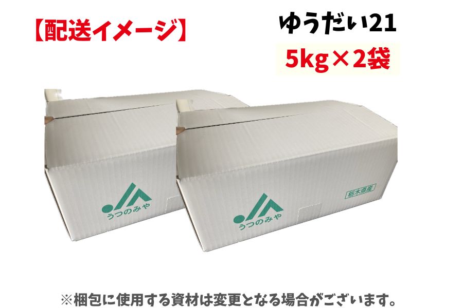 栃木県 JAうつのみや産 ゆうだい21 10㎏（5㎏×2）: とちぎ新鮮倉庫