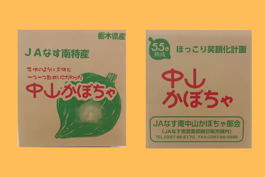 中山かぼちゃ(約2.5kg/1玉入り)JAなす南産 ※7/27～順次発送: とちぎ