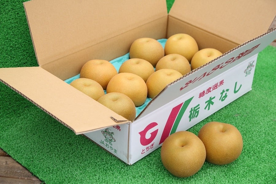 梨 幸水 (約5kg/12~16玉) JAおやま産※8/2～順次出荷: とちぎ新鮮倉庫|【ＪＡタウン】産地直送 通販 お取り寄せ