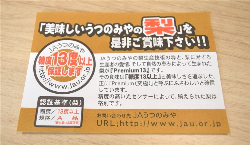 数量限定】梨 Premium13 幸水 (約5kg/特秀10～16玉) JAうつのみや産 ※8