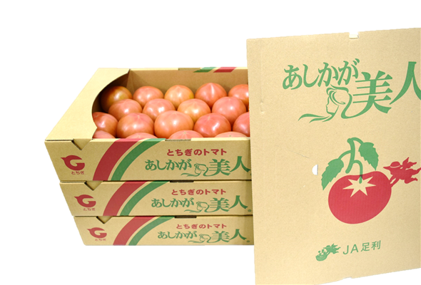 産地直送 通販 お取り寄せあしかが美人 トマト Al約4kg箱 ３箱 Ja足利産 とちぎ新鮮倉庫 ｊａタウン