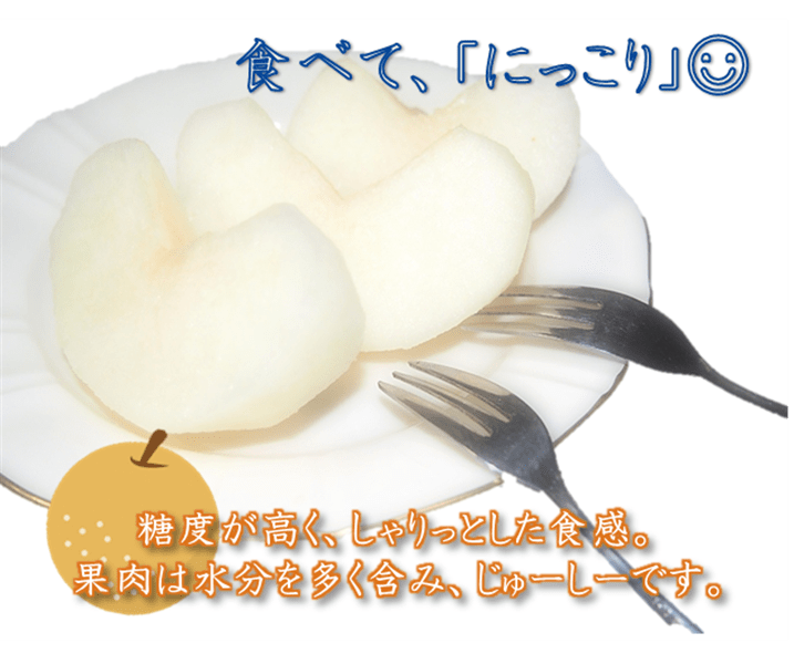 数量限定】梨 にっこり (約5kg/6～8玉) JAうつのみや産: とちぎ新鮮