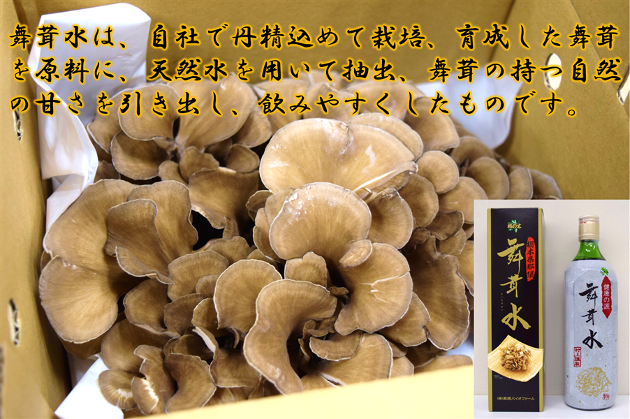 舞茸水 （720ml×1本） 栃木県産舞茸使用