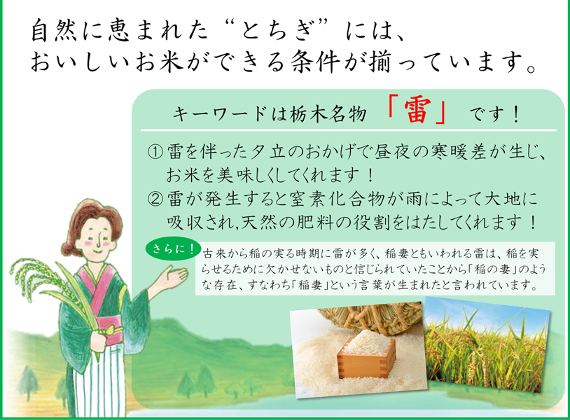 日本でも有数の米どころです！
