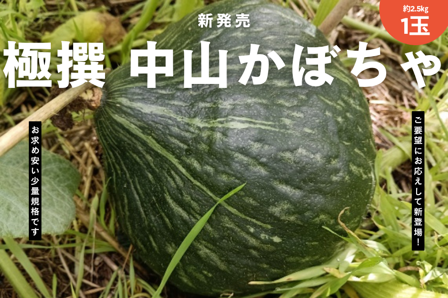 中山かぼちゃ(約2.5kg/1玉入り)JAなす南産 ※7/27～順次発送: とちぎ