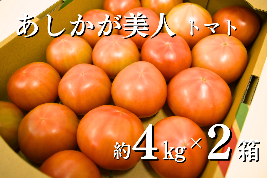 あしかが美人　 トマト (AL約4kg箱×２箱 )　JA足利産