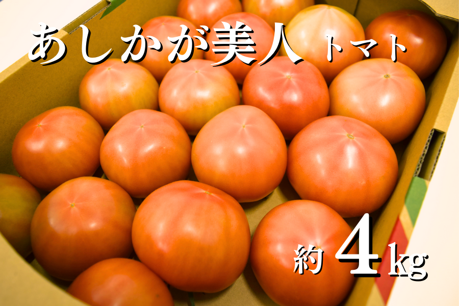 あしかが美人　 トマト (AL約4kg箱)　JA足利産
