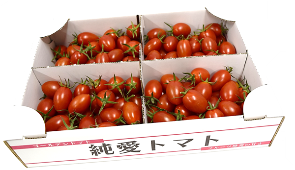 純愛トマト　(A/約２kg箱)　ミニトマト　お取り寄せ　アイコ　JA足利産:　とちぎ新鮮倉庫|【ＪＡタウン】産地直送　通販