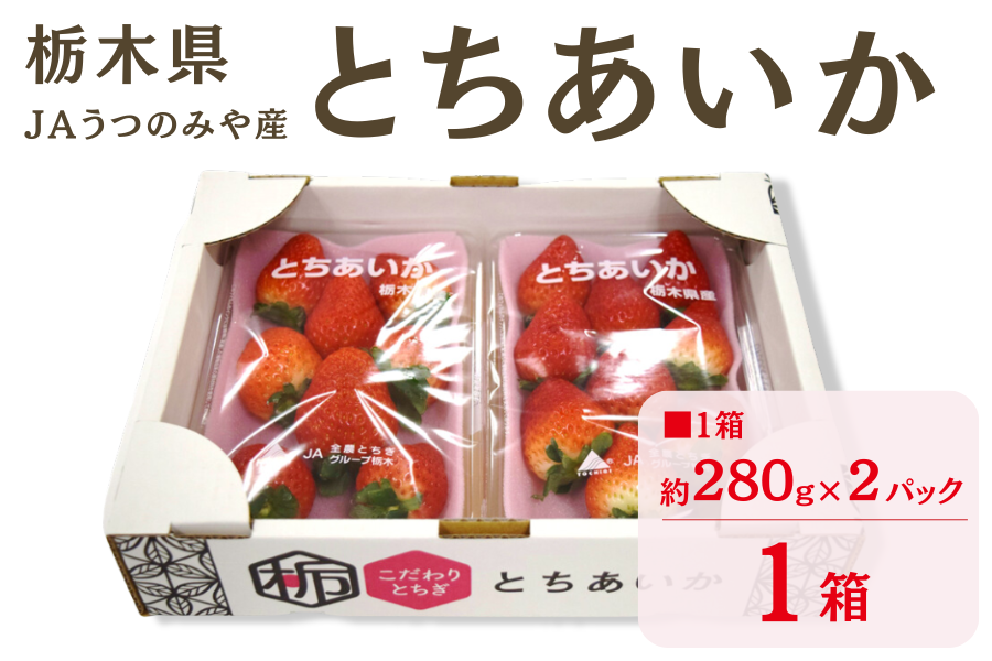 苺　とちあいか（約280g×2パック）栃木県　通販　JAうつのみや産:　とちぎ新鮮倉庫|【ＪＡタウン】産地直送　お取り寄せ