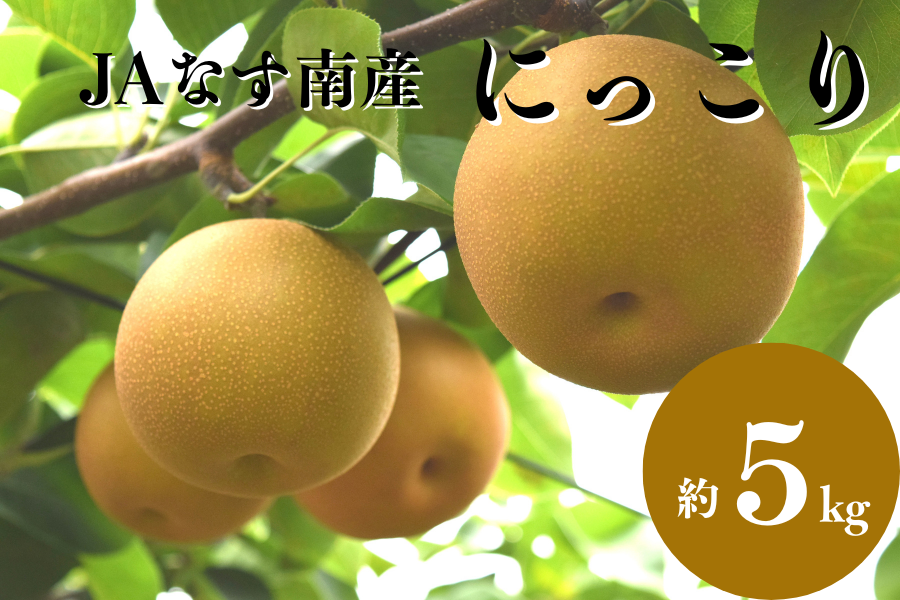 100箱限定】梨 にっこり (約5kg／秀5～7玉) JAなす南産 ※10月頃～順次